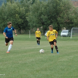 Zamek Gorzanów 2:7 Polonia Trzebnica