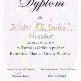 Turniej Orlika o Puchar Burmistrza MiG Wiązów 14.03.2015