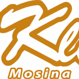 Sponsorzy i Partnerzy  ks 1920 Mosina