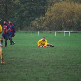 FC Polonia-Manningham All Stars   07.11.2015