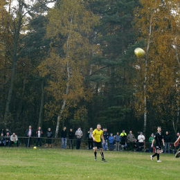 Świt Borowno - Biała Gwiazda Krasice 3-1 (0-1) 11.11.2012