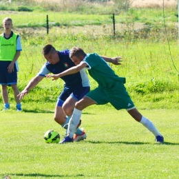 Bory 0 - 2 Pasjonat Dankowice.