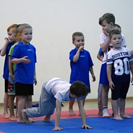 Brazylijskie Jiu-Jitsu