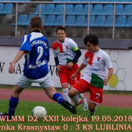 WLMM D2 wiosna