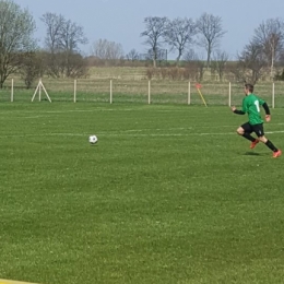 Zamek Gorzanów - Cis Brzeźnica 2-2