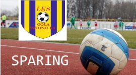 Sparing: Zieloni Mrowiny - LKS Gola 0:7