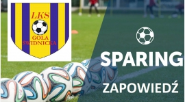 SPARING: LKS PUO Wiśniowa w Żarowie