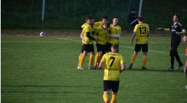 Wygrana w ostatnim sparingu