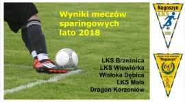 Wyniki meczów sparingowych