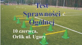 Test Sprawności Ogólnej.