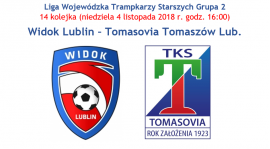 Widok Lublin - Tomasovia (niedziela 04.11 godz. 16:00 Arena Lubin)
