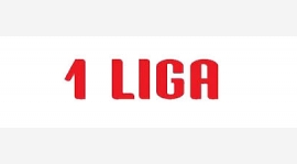 Liga