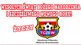 WESOŁYCH ŚWIĄT I DOBREGO ROKU!