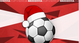 BRZOZOVIA CUP 2023