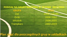 Podział na grupy wiekowe w sezonie 2015/2016