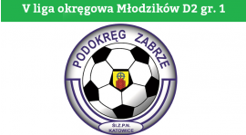 Liga Młodzików