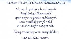 WESOŁYCH ŚWIĄT !!