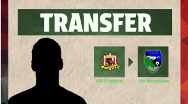 Transfer #11