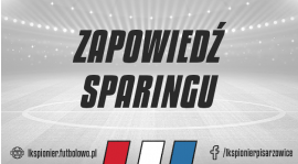 Bestwinka pierwszym sparingowym rywalem