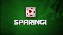 SPARINGI