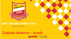 Zadanie domowe - zwód zakos wewnętrzną, zakos zewnętrzną (styczeń 2021)