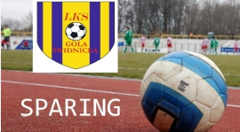 Sparing: Płomień Makowice - LKS Gola 0:3