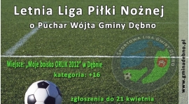 Letnia Liga Piłki Nożnej