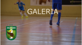 Świąteczny Turniej Piłki Nożnej ORLIKÓW - GALERIA