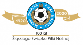 "Puchar 100-lecia Śląskiego Związku Piłki Nożnej"