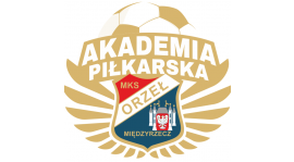 Liga 2021/22 Młodzik