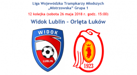 Widok Lublin - Orlęta Łuków (sobota 26.05 godz. 15:00, Arena Lublin)