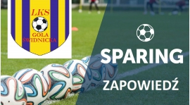 SPARING: W Mokrzeszowie z Zielonymi