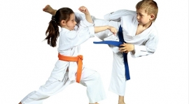 Karate kyokushin