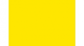 Grupa żółta