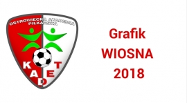 Grafik WIOSNA 2018