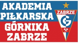 Sparing 2007-08 z Górnikiem Zabrze 2008