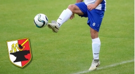 Międzyzakładowy Turniej Piłki Nożnej o Puchar Burmistrz Małomic