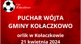 Turniej o Puchar Wójt Gminy Kołaczkowo