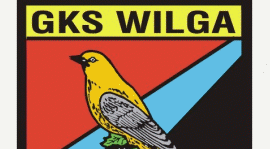 Wilga II Garwolin wycofana z A-klasy