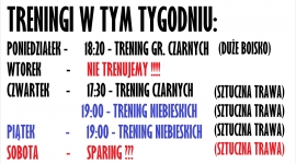 HARMONOGRAM TYGODNIA