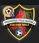 Turniej finałowy rozgrywek "ORLIK 2014" o Puchar Prezesa Podokręgu PN Stalowa Wola