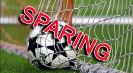 SPARING z ROW Rybnik 17.03.2018 sobota 09:00 w Rybniku na sztucznym