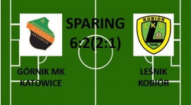 Sparing 4: MK Górnik Katowice - Leśnik 6:2