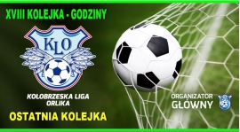 GODZINY XVIII KOLEJKI 28.06.2015 (OSTATNIA KOLEJKA)