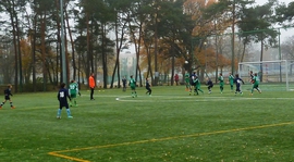 Relacja z meczu: Stelmet UKP - MKP Spartakus 2014-11-09