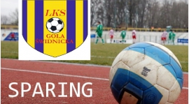 Sparing: LKS Wiśniowa - LKS Gola 2:10