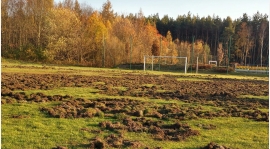 4 LO: DZIKI w BŁEDOWIE. POMÓŻ TĘCZY