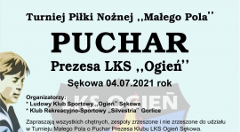 Turniej Piłki Nożnej „Małego Pola” PUCHAR Prezesa LKS OGIEŃ SĘKOWA