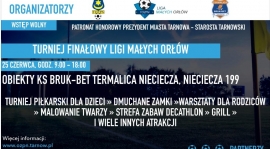 Turniej Finałowy Ligi Małych Orłów ! NIEDZIELA 25 czerwca boiska w Niecieczy !