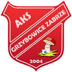 AKS Grzybowice Zabrze zwycięzcami Mikołowskiego Turnieju !